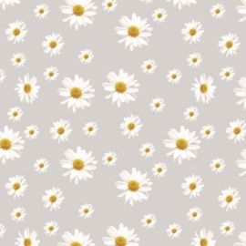 Плівка столова DarianA Силікон 1.35x30м E555-1